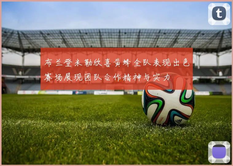 布兰登米勒欣喜黄蜂全队表现出色赛场展现团队合作精神与实力