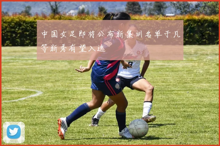 中国女足即将公布新集训名单于凡等新秀有望入选