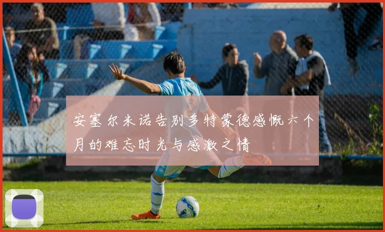 安塞尔米诺告别多特蒙德感慨六个月的难忘时光与感激之情