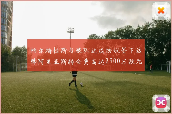 帕尔梅拉斯与狼队达成协议签下边锋阿里亚斯转会费高达2500万欧元