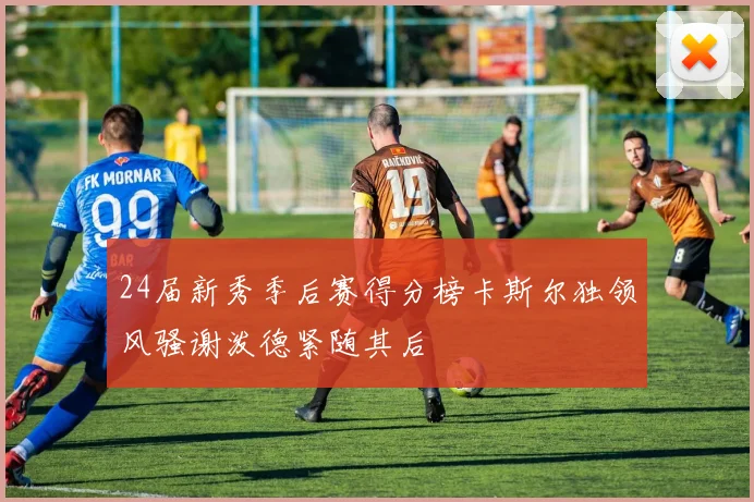 24届新秀季后赛得分榜卡斯尔独领风骚谢泼德紧随其后